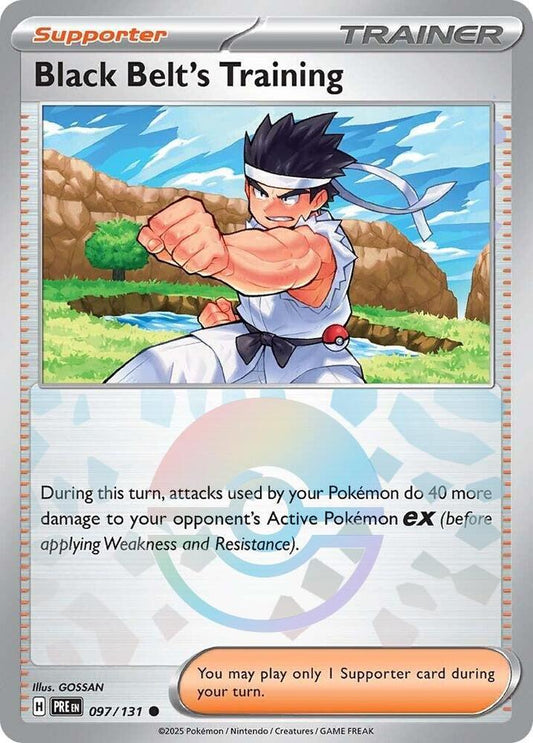 Black Belt's Training Reverse Pokeball